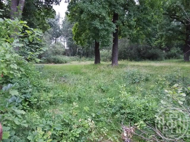 Всеволожск г., Мужества ул., д 43а