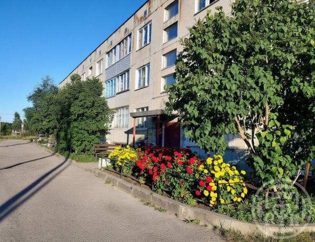 Ромашки пос., Ногирская ул., д 33