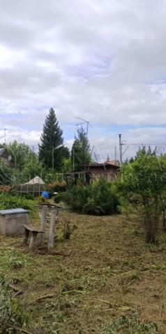 массив. Восход