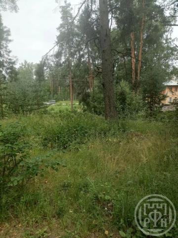 Васкелово дер., Поперечная ул.