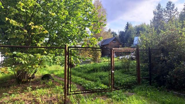 Ленинградская область, Фауна сад-во, 909