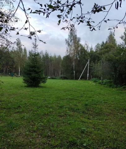 Слапи дер.