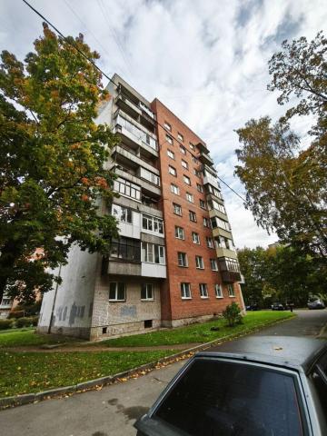 Ленинградская область, Кузьмоловский пгт, Молодежная ул., 9А