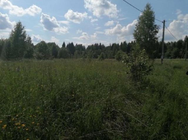 Красные Горы дер.