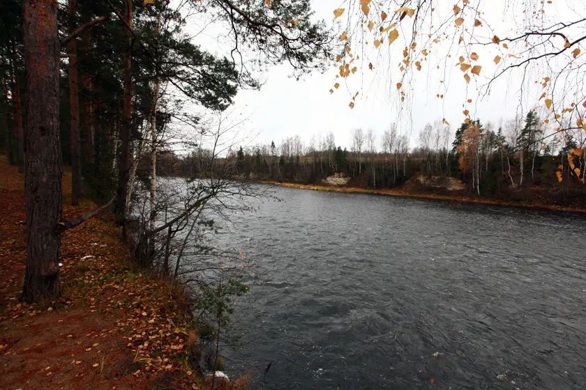 Берега Мсты – очень живописны