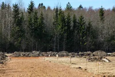 Территория поселка примыкает к лесу. Приятное соседство