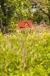 Территория ДНП «Лужское» просто утопает в зелени