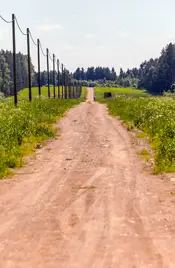 Территория ДНП «Череменецкое» вытянулась узкой полосой прямо среди лесов