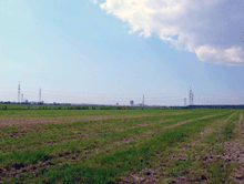 ООО Фирма Кристина, Ростов-на-Дону | Справка по новостройкам