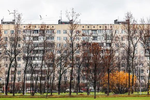 Одна из широко распространенных на севере брежневок