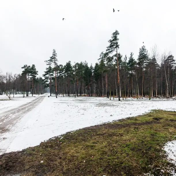 В непосредственной близости парк «Сосновая Поляна»