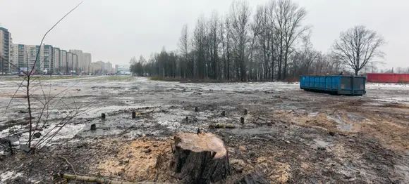 На месте «Нью Тона» пока только пеньки и мусор