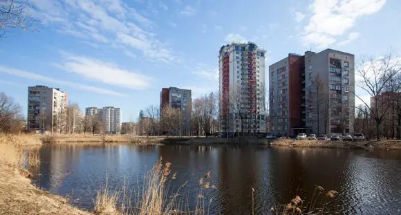 Дом находится прямо на берегу довольно чистого пруда