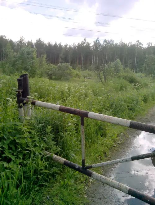 Городская часть земельного участка в Ржевском лесопарке