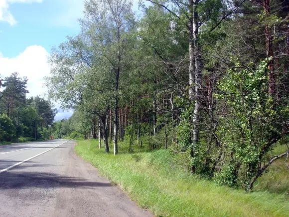 Плюс участка в Солнечном Курортного района – транспортная доступность