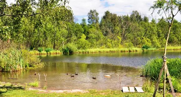 Напротив ЖК «Гармония» находится небольшое озеро