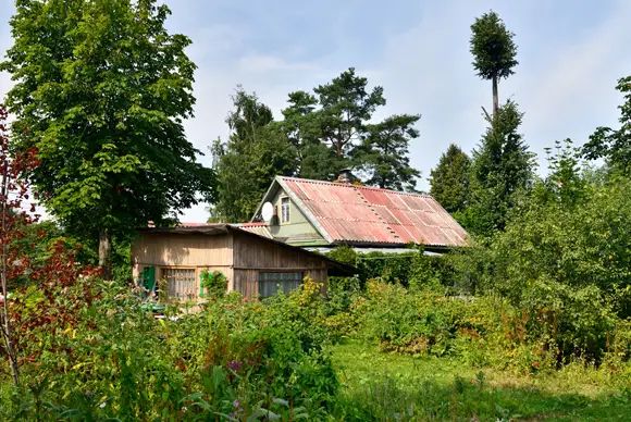 Садоводства на южном берегу залива буквально утопают в зелени Садоводства на южном берегу залива буквально утопают в зелени