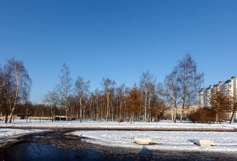 Парк имени Сергея Есенина в Веселом поселке достаточно небольшой, но для вечерних прогулок с семьей вполне подходит
