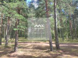 Участок, Озерки тер. за 280 000 тыс.р.