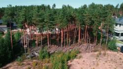 Участок, улица Охтинская Перспектива, 33 за 30 000 тыс.р.