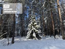 Участок, Лесной хутор днп за 9 900 тыс.р.