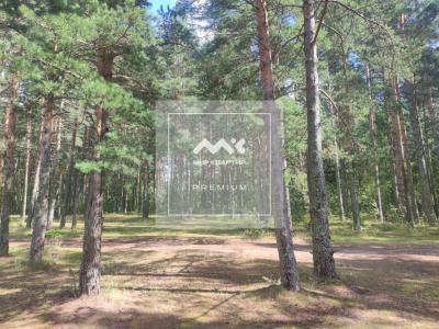 Участок, Озерки тер. за 280 000
