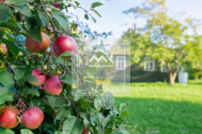 Участок, Пияф тер. СНТ, Березовая ул. за 3 000