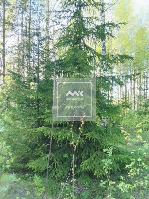 Участок, Всеволожск г., Новая ул., 37 за 3 700