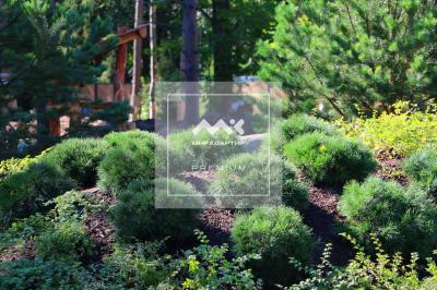 1-к квартира, Зеленогорск г., Приморское ш., 570 за 25 401 тыс.р.