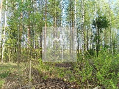 Участок, Всеволожск г., Радужная ул., 28 за 2 690