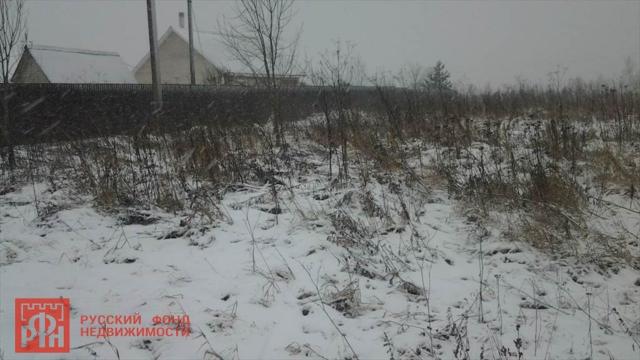 Дятлицы дер.