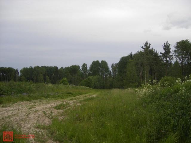 Оржицы дер.