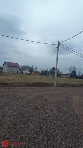 Большое Коновалово дер.