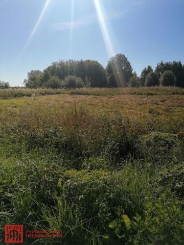 Онежицы дер.