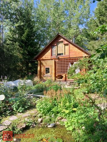 Факел (Бабино) снт.