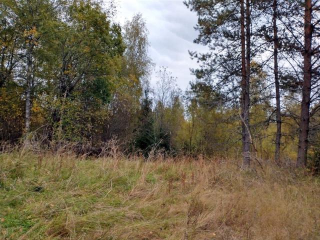 Дятлово пос.