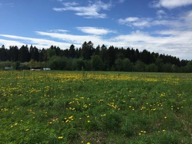 Келози дер.