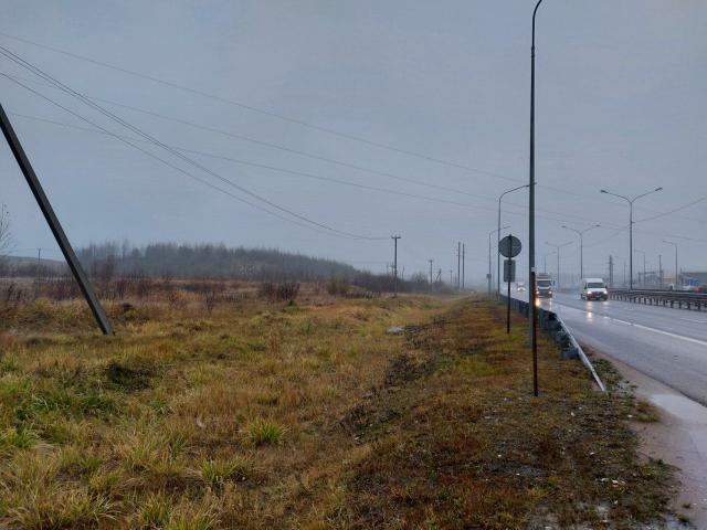 Скотное массив