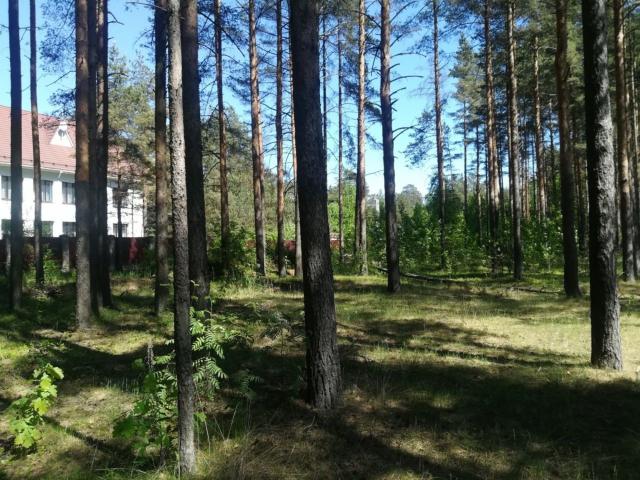 Всеволожск г., Южное шос.