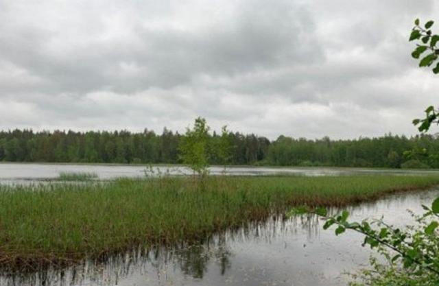 Ханнила снт.