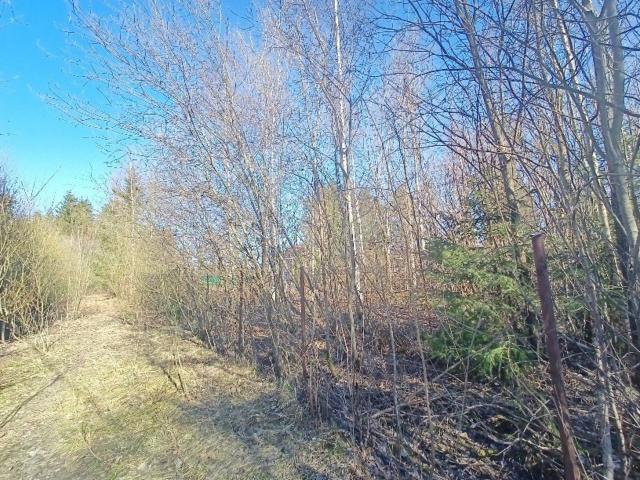 Корнево массив, д 240