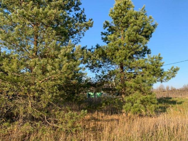 Большое Конезерье дер.