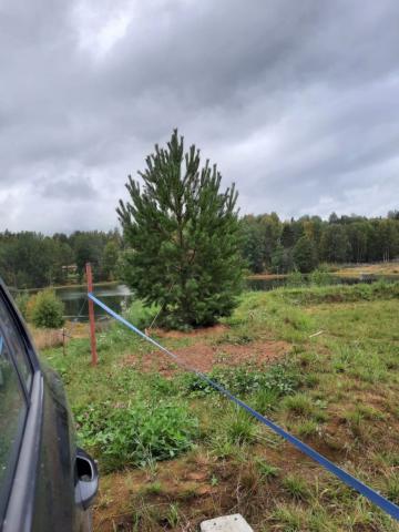 Лесное днп, Центральная ул.