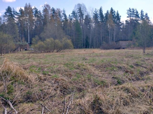 Староселье пос.