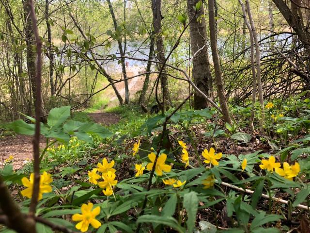 Сырец дер., Грузовик снт