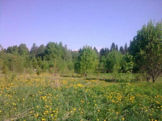 Заозерье снт