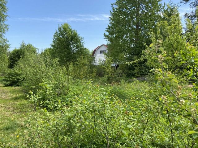 Сарженка сад-во