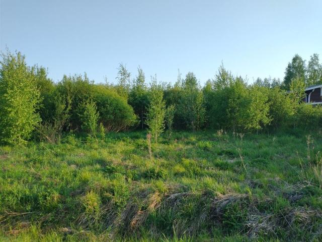 Волочаевка пос.