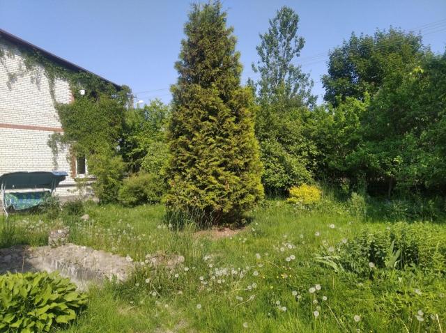 Красногорское снт, 12-я линия