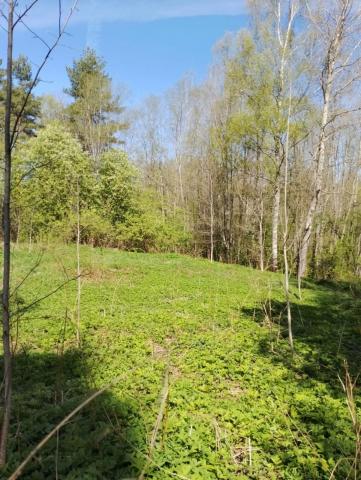 Колодно дер., д 6